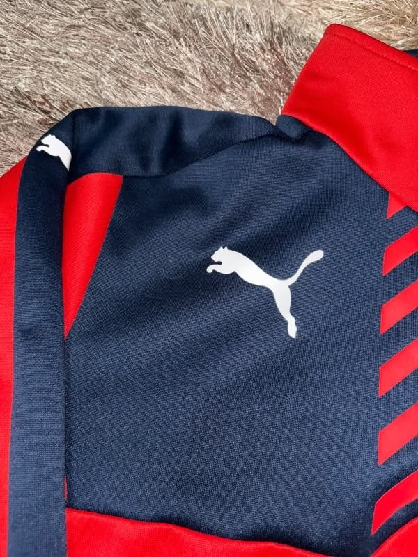 Arsenal Puma 2015-2016 training Top (Home)