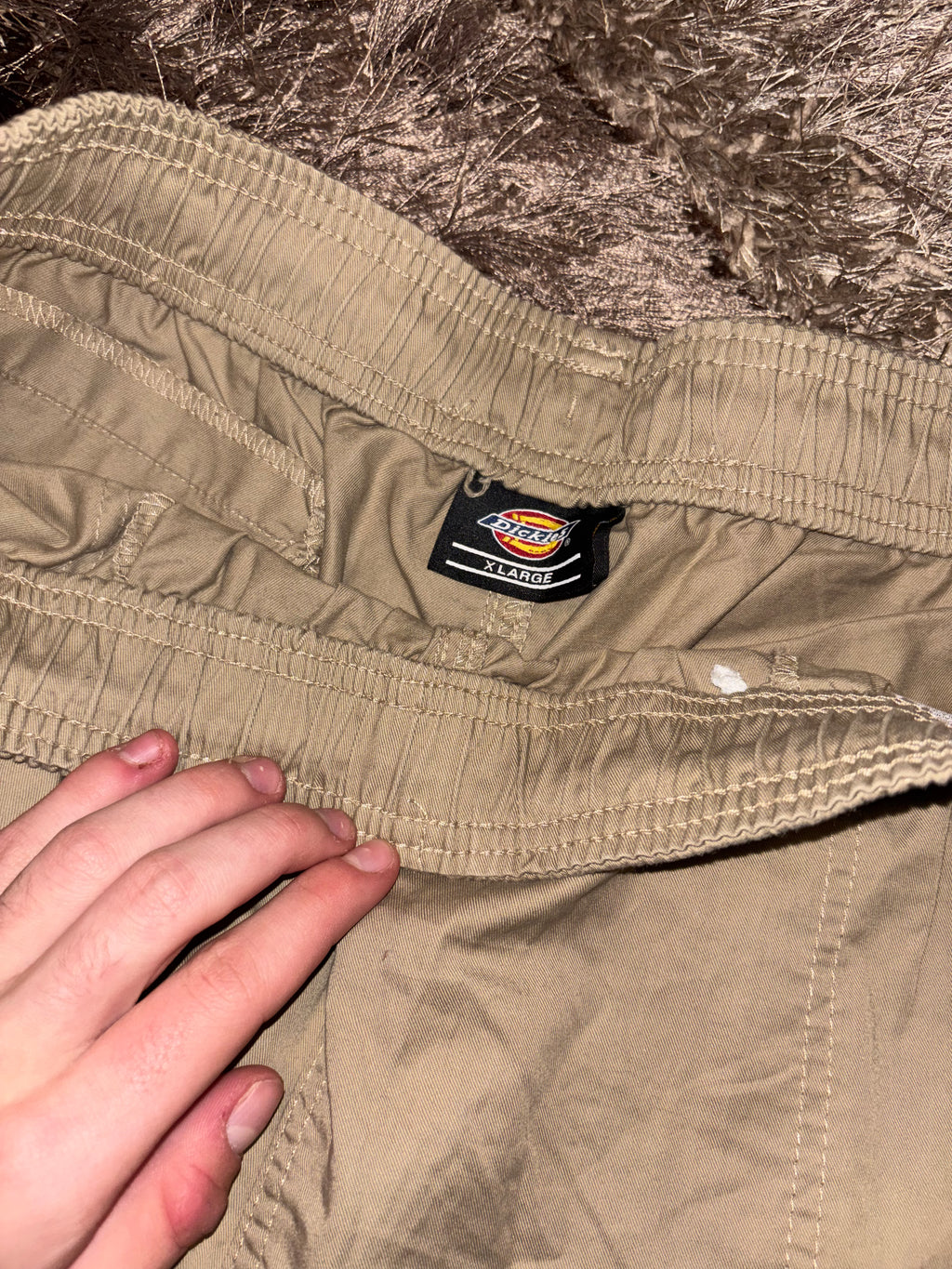 Dickies Shorts