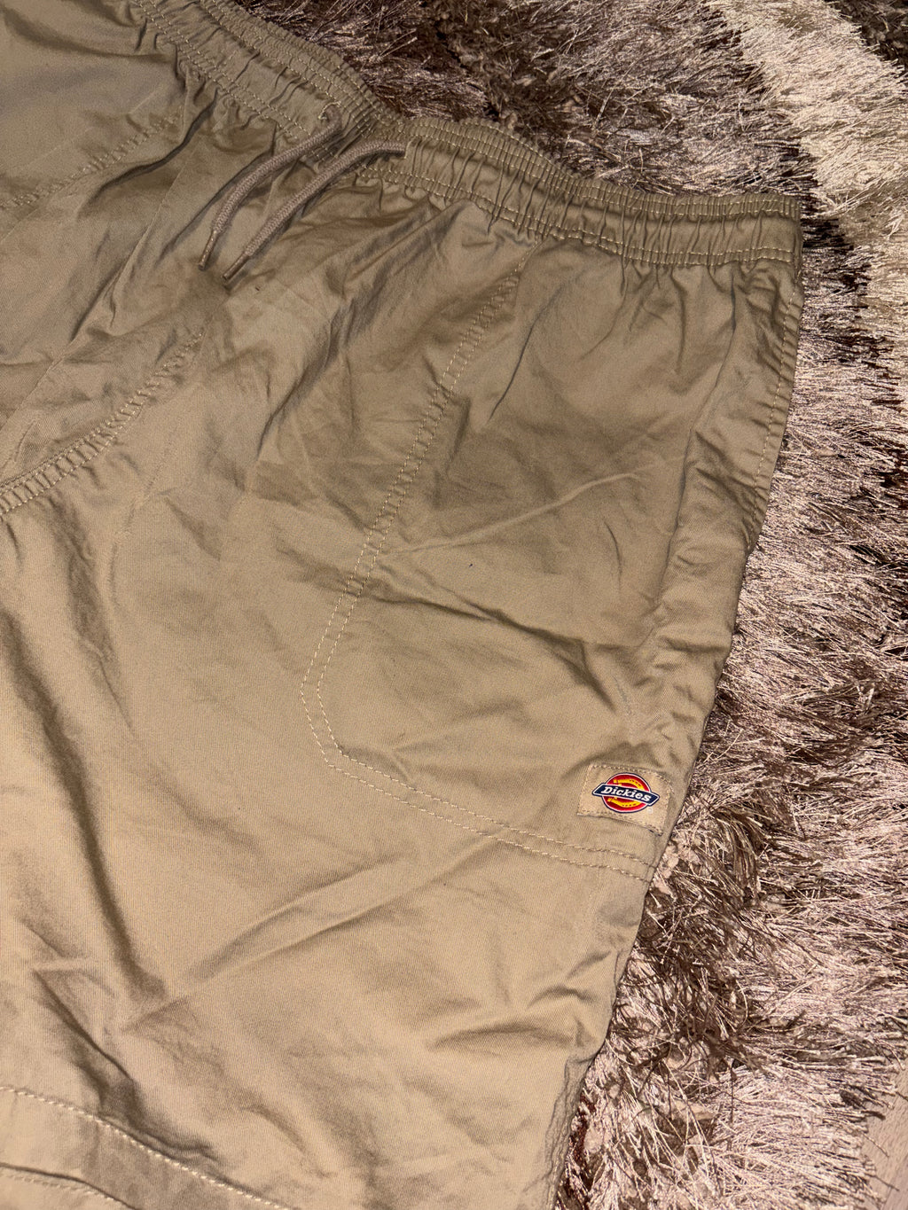Dickies Shorts
